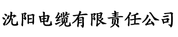 国产成人AV大片大片在线电缆厂logo